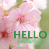 Springtime Selections